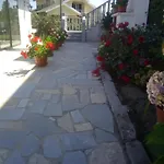 Pinheirinhos - Quinta De Sao Caetano Farma *