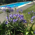 Pinheirinhos - Quinta De Sao Caetano * Carapito