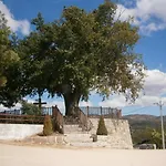 Pinheirinhos - Quinta De Sao Caetano Carapito