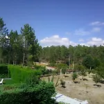 Pinheirinhos - Quinta De Sao Caetano Carapito