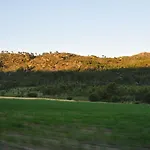 Pinheirinhos - Quinta De Sao Caetano Carapito
