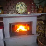 Pinheirinhos - Quinta De Sao Caetano Farma *