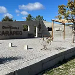 Pinheirinhos - Quinta De Sao Caetano Farma Carapito
