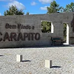 Pinheirinhos - Quinta De Sao Caetano