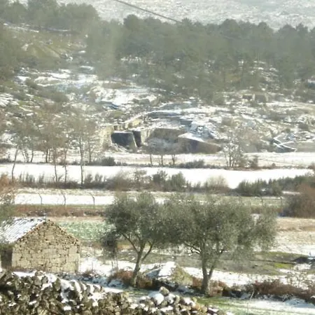 Pinheirinhos - Quinta De Sao Caetano Lantgård *