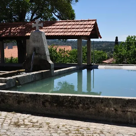 Pinheirinhos - Quinta De Sao Caetano
