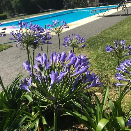 Pinheirinhos - Quinta De Sao Caetano * Carapito