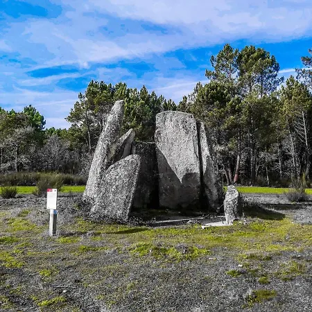 Pinheirinhos - Quinta De Sao Caetano Lantgård