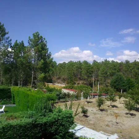 Pinheirinhos - Quinta De Sao Caetano Carapito