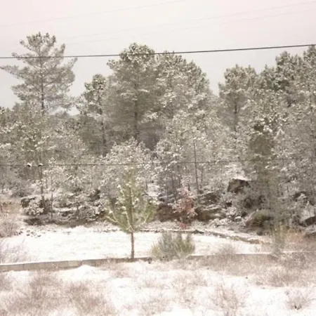 Pinheirinhos - Quinta De Sao Caetano Lantgård *