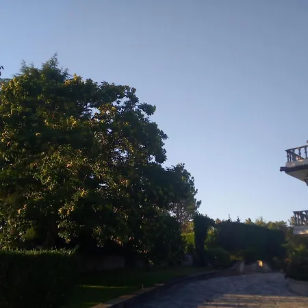 Pinheirinhos - Quinta De Sao Caetano *