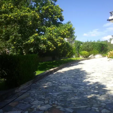 Pinheirinhos - Quinta De São Caetano *