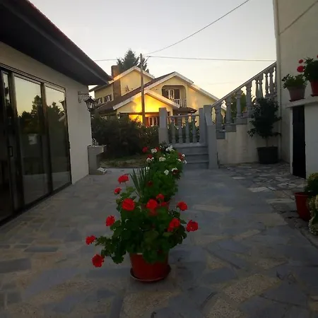 Pinheirinhos - Quinta De Sao Caetano Carapito