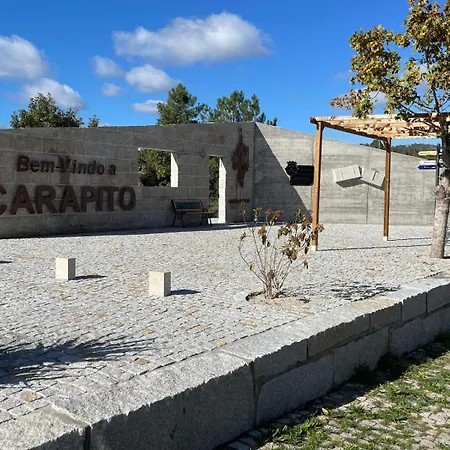 Pinheirinhos - Quinta De Sao Caetano Lantgård Carapito
