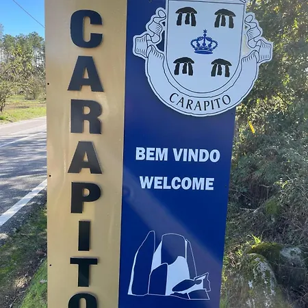 Pinheirinhos - Quinta De Sao Caetano Carapito
