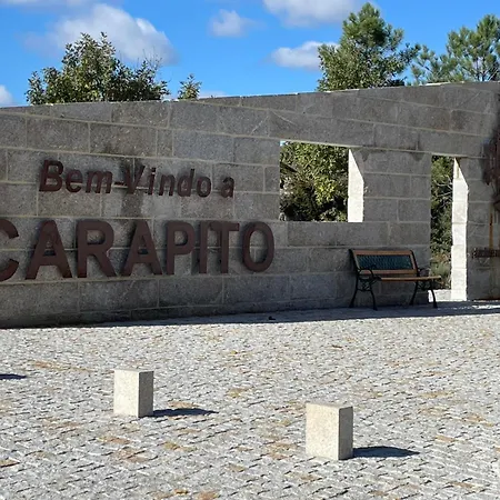 Pinheirinhos - Quinta De Sao Caetano