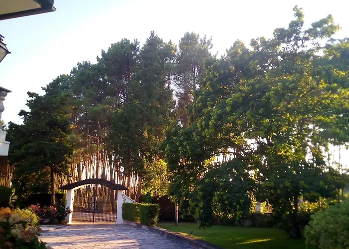 Pinheirinhos - Quinta De Sao Caetano