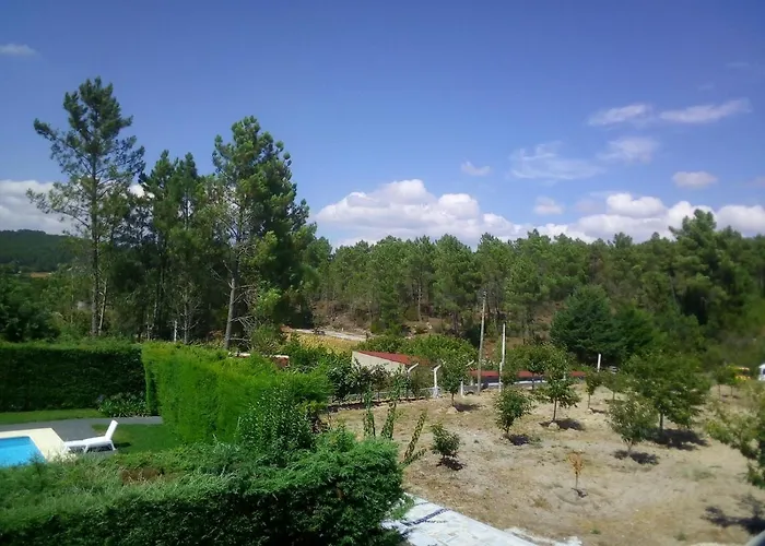 Pinheirinhos - Quinta De Sao Caetano Carapito
