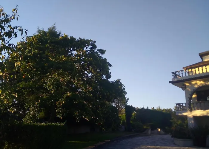 Pinheirinhos - Quinta De Sao Caetano *