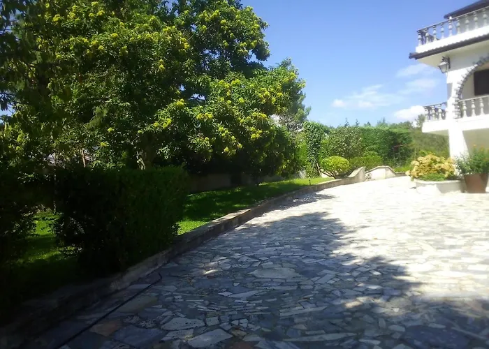 Pinheirinhos - Quinta De Sao Caetano *