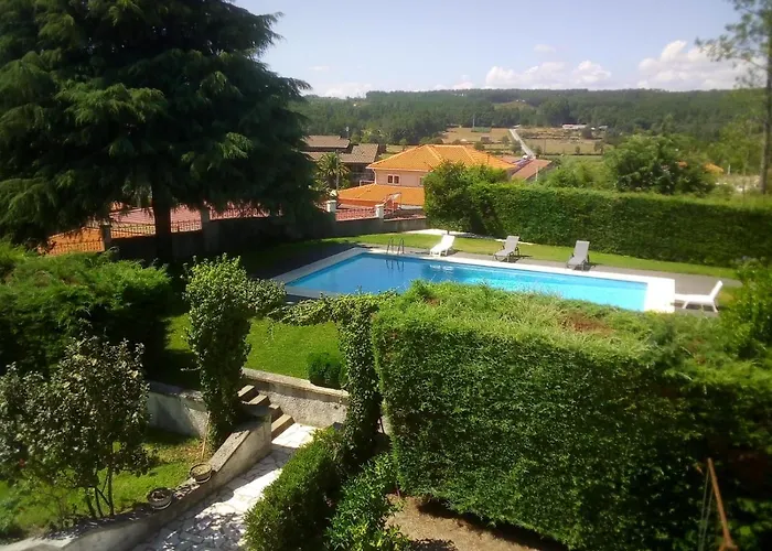 Pinheirinhos - Quinta De Sao Caetano Farma