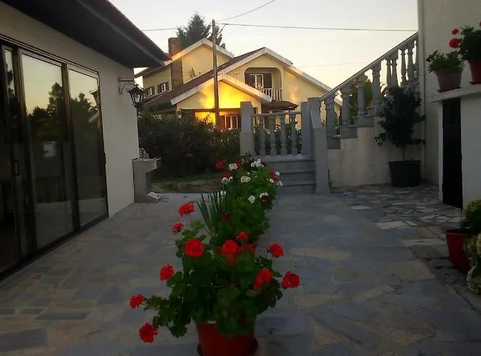 Pinheirinhos - Quinta De Sao Caetano Carapito